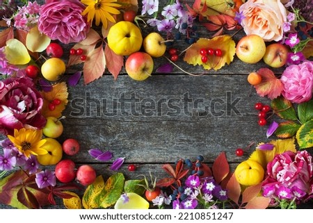 Wooden background with fruits, flowers and plants, leaves, apples, roses, phlox, ornamental grapes, viburnum berries, wild rose. Autumn holiday card, Thanksgiving, top view, copy space for text