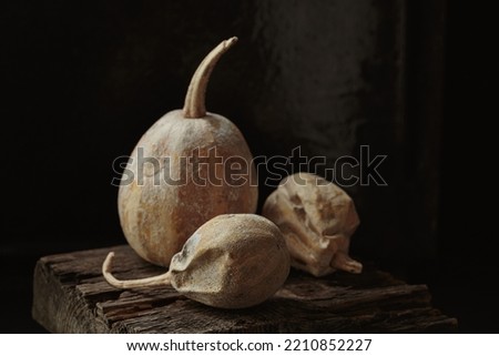Art autumn dried Pumpkin thanksgiving still life in a rustic style on a dark wooden background. Autumnal composition for Thanksgiving Day