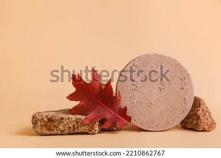 natural stone, decor and autumn leaves against beige background. Fall Seasonal Background Royalty-Free Stock Photo #2210862767