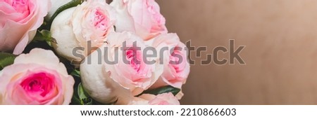 Rose White Pink O'hara. a bouquet of pink roses. gift for Valentine's Day.Rose branch on blurred background. Holiday, greeting card. copy space