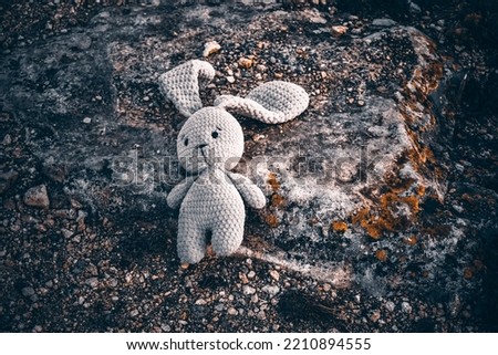 lost toy hare is lying on the ground, an abandoned hare toy, a knitted toy Royalty-Free Stock Photo #2210894555