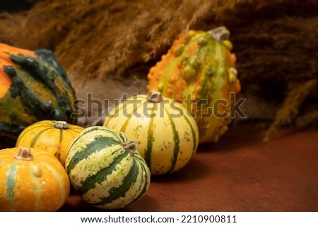 Small pumpkins on an oxide background