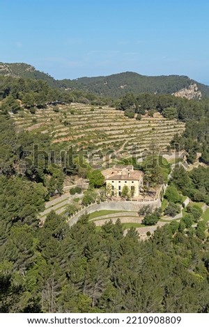 Artificial terraces near Banyalbufar, Serra de Tramuntana, Majorca, Spain