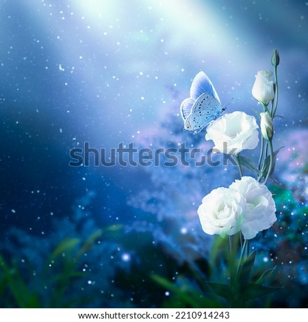 Fantasy Eustoma flowers garden and blue butterfly in enchanted fairy tale dreamy forest, fairytale blooming white roses in magical night darkness on mysterious dark floral background with moon rays.