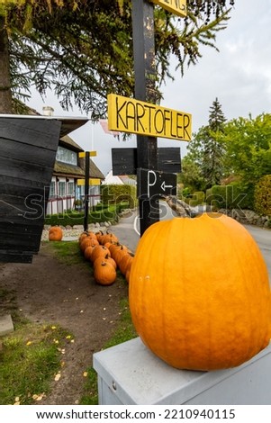 Svendborg, Denmark A roadside stand sells pumpkins in the fall with signs in Danish. Kartoifler means potato.