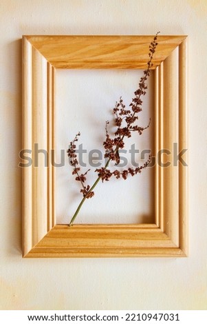 Dried prickly wildflower placed over a wooden picture frame with a painted yellow canvas in the background; Simple design of dried flower arranged in a photo frame with warm color tones