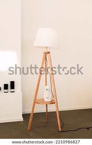 Stylish new white lamp stands on the floor in the interior