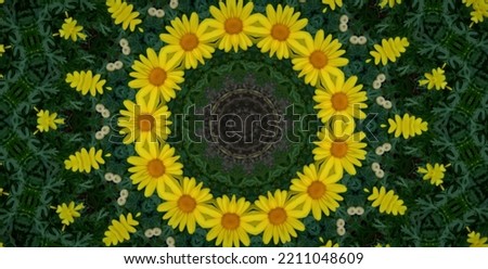 Pattern or kaleidoscope of flowers Argyranthemum frutescens or marguerite daisy or yellow daisy