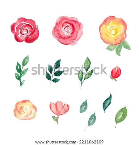 Set of floral elements. Flowers and green leaves. Watercolor hand drawn illustration isolated on white background.