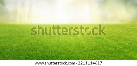 Beautiful summer natural landscape with lawn with cut fresh grass in early morning with light fog. Panoramic spring background. Royalty-Free Stock Photo #2211114617