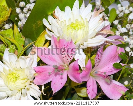 a beautiful bouquet of chrysanthemums as a festive decoration and gift