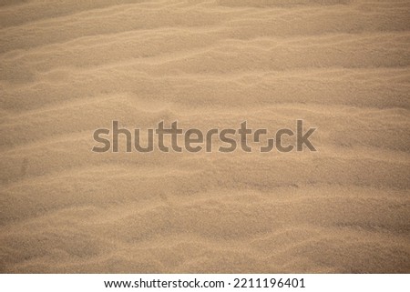 Sand texture of the wild dunes of the island
