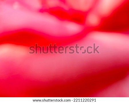Beautiful abstract texture of mixed orange colors tone out of focus light and shadow on rose petals by photography for make the wallpaper and background