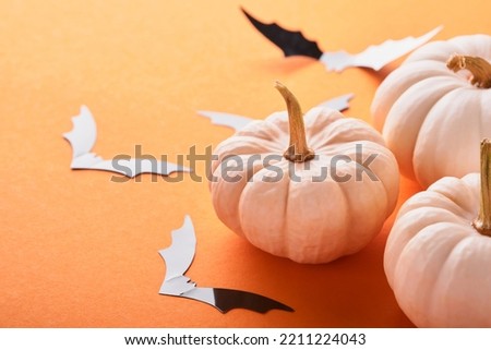 Halloween background. Flock of black bats, spider, pumpkin, and leaves for Halloween. Black paper bat silhouettes on orange background. Autumn decoration. Halloween concept. Top view.