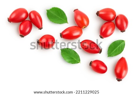 Rose hip isolated on a white background with full depth of field. Top view with copy space for your text. Flat lay. Royalty-Free Stock Photo #2211229025