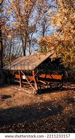 Shed in a woods. House near a lake or pond, river or bay. Beautiful autumn, yellow leaves and trees. Picnic in nature. Autumn holidays in the forest. Walk in the autumn park. Camping.