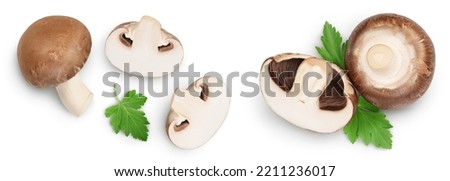 Royal Brown champignon with leaf parsley isolated on white background. Top view. Flat lay Royalty-Free Stock Photo #2211236017