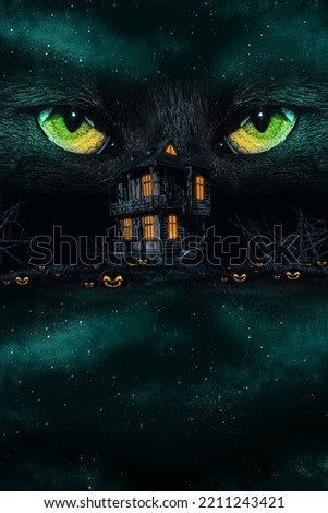 Black mystical witch cat eyes. Halloween background, wallpaper, poster.