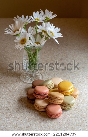 Daisies and macarons in a sweet cookie still life