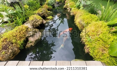 water wave reflection and blurred craft fishes in pond 