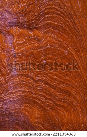 
texture picture fresh wood grain