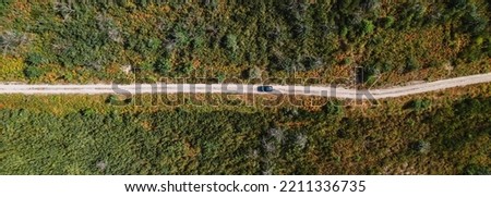 Drone shot of a car driving on a dirt road on a mountain in a forrest. Panoramic.