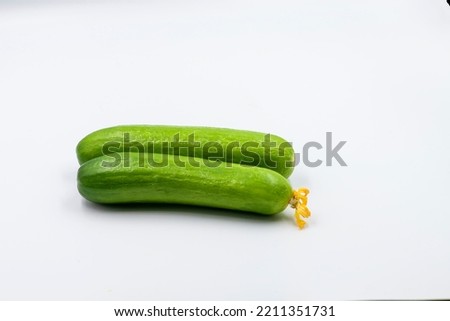 Select focused cucumbers on an isolated white background Cucumbers . Image fresh organic green cucumbers close up shot