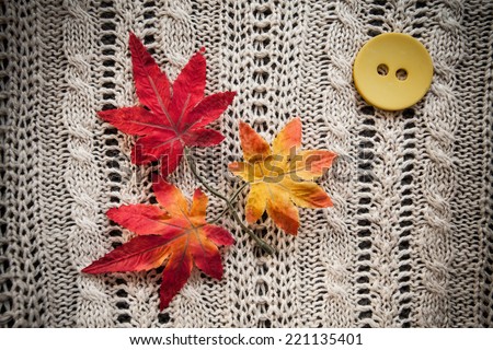 autumn leaves red and green button yellow on a grey knitted background