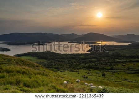 magnificent panorama of a view of loch lomond from conic hill at sunset with sheep in foreground, Scotland, UK Royalty-Free Stock Photo #2211365439