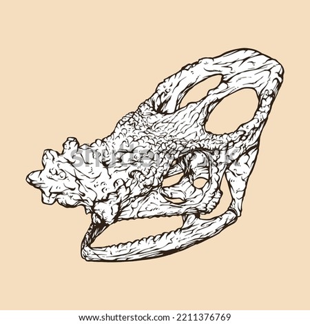 parson's chameleon skull head vector illustration