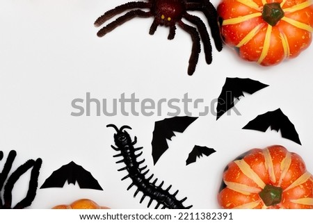Halloween decorations concept, Scary smile pumpkin with centipede and spider with flying black bat.