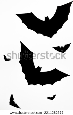 Halloween concept, Silhouette of flying horror big black bat halloween symbol on white background.