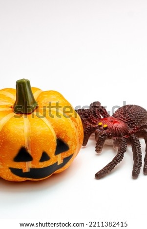 Halloween decorations concept, Scary smiling pumpkins with spider on white background.
