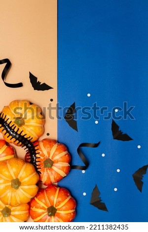 Halloween symbol concept, Centipede on scary smile pumpkins with bats on blue and cream background.