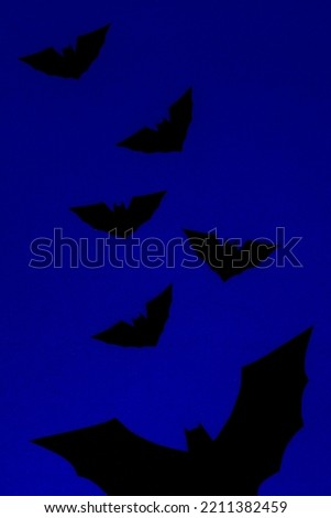 Halloween concept, Silhouette of flying horror big black bat halloween symbol on blue background.