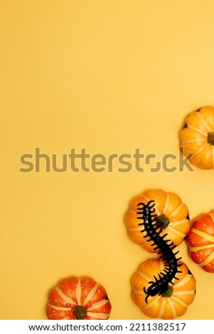 Halloween symbol concept, Centipede on scary smile pumpkin over yellow background.