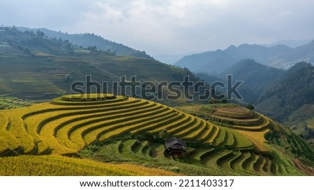 Landscape photo of rice terraces at Mugang Chai, Vietnam