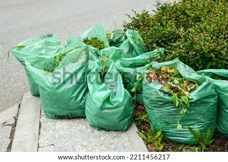Plastic bags with leaves are ready for disposal on the street near the roadway of the city.