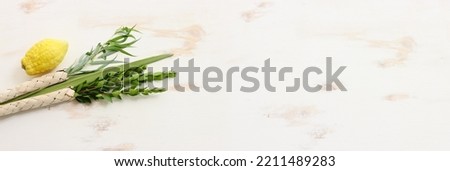 Jewish festival of Sukkot. Traditional symbols (The four species): Etrog (citron), lulav (palm branch), hadas (myrtle), arava (willow) Royalty-Free Stock Photo #2211489283