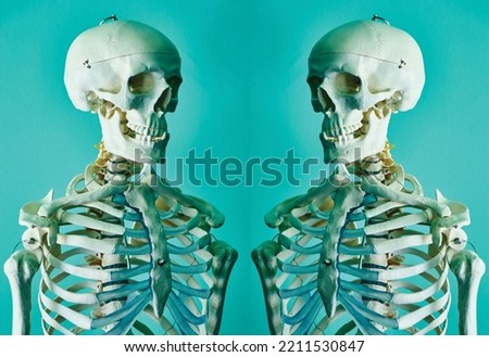 Two skeleton blue background image