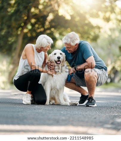 Dog walk, nature and senior couple walking their pet for exercise on a road in Germany together. Happy, calm and healthy elderly man and woman training their animal on a street park in summer Royalty-Free Stock Photo #2211548985