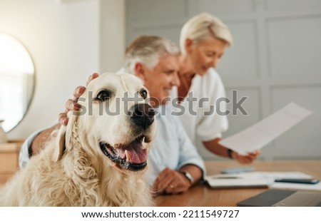 Senior, elderly couple and dog pet of people in a home looking at contracts and documents. Happiness of a man, woman and animal in retirement looking at life insurance policy paperwork or document Royalty-Free Stock Photo #2211549727