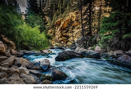 Wild river in a mountain forest. River flow. Mountain forest river. River stream flowing Royalty-Free Stock Photo #2211559269