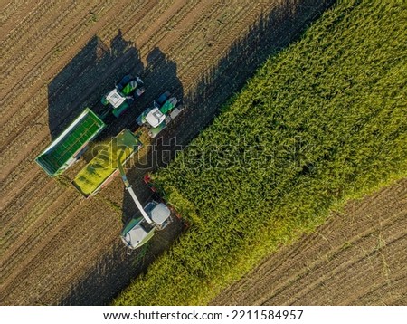 Aerial view of forage harvester on maize cutting for silage in field. Harvesting biomass crop. Tractor work on corn harvest season. Farm equipment and farming machine.  Royalty-Free Stock Photo #2211584957