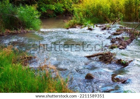 a small river in a wild forest, a beautiful summer landscape, bright sunlight through the trees reflected in the water