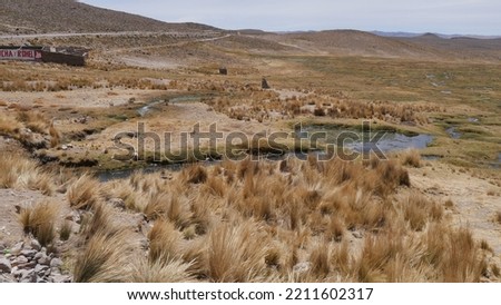 Road crossing a hot, sandy, huge desert, with some lakes and little greenery, with some birds in the surroundings, in Peru. Desert and torrid area, with water stream and some vegetation