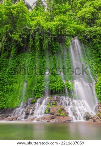 beautiful waterfall scenery with green leaves in summer