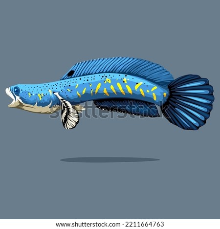 Blue Pulchra Snakehead Fish with Opened Mouth Vector Isolated on Blank Background