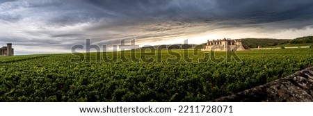 Panorama of the vineyards in Vougeot Burgundy Royalty-Free Stock Photo #2211728071