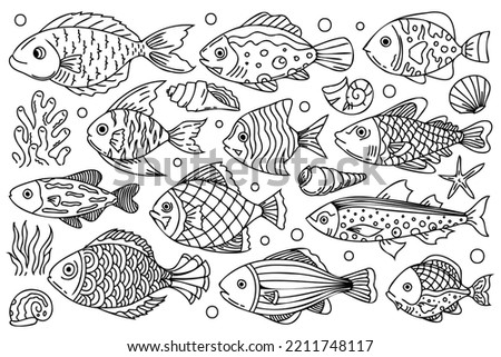 Underwater creatures bundle. Line art, outline fishes, shells and plants with black thin line. Cute sea fishes doodle line art, decorative, stylized illustrations for your design projects.